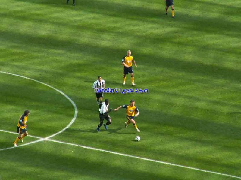 ReSizePICT0460
